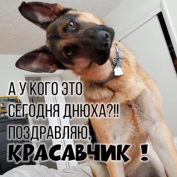 Прикольные открытки на день рождения мужчине. Прикольные открытки с Днем рождения для мужчины