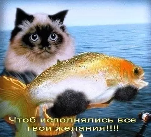 Прикольные открытки на день рождения мужчине. Прикольные открытки с Днем рождения для мужчины