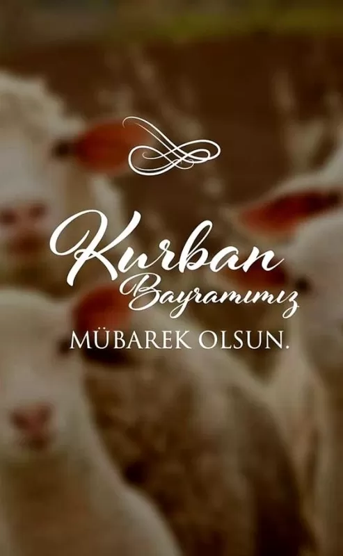 Картинки и поздравления с Курбан-Байрам. Красивые картинки с Курбан-байрам
