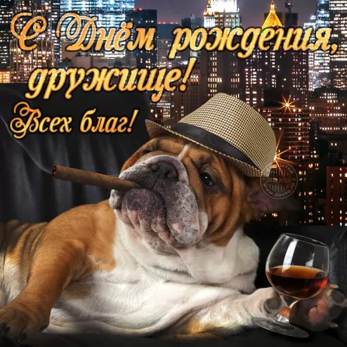 Прикольные открытки на день рождения мужчине. Прикольные открытки с Днем рождения для мужчины