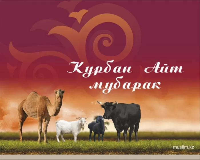 Картинки и поздравления с Курбан-Байрам. С Курбан Барйм - картинки с поздравлениями