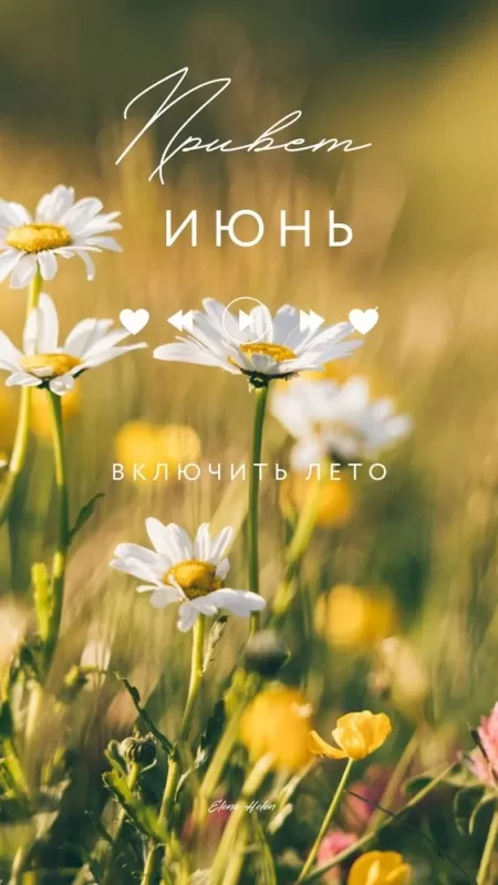 Картинки и открытки с добрым июньским утром . Картинки с добрым июньским утром 