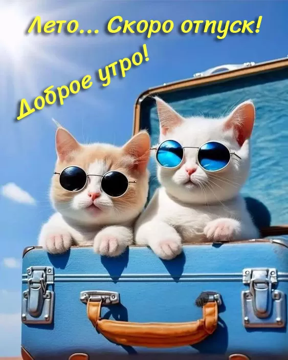 Картинки с Добрым летним утром. Картинки с Добрым летним утром