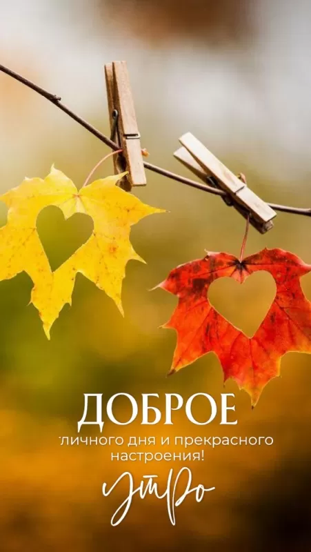 Картинки "Доброе утро сентября". Картинки с добрым утром сентября 