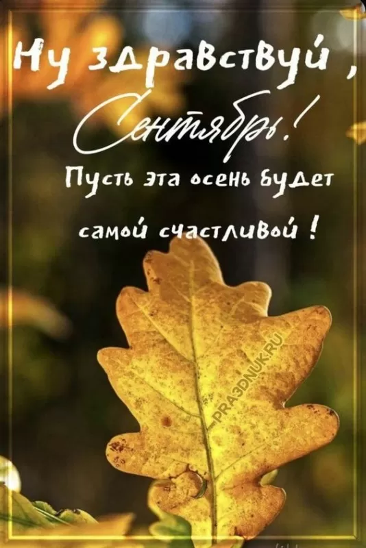 Картинки "Доброе утро сентября". Картинки с добрым утром сентября 