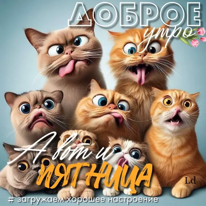 Прикольные картинки с Пятницей. Картинки с Пятницей и Ура пятница