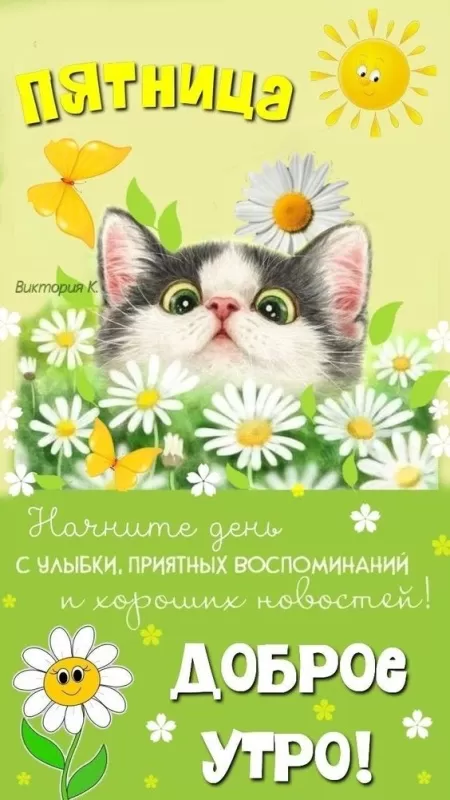 Прикольные картинки с Пятницей. Прикольные картинки Доброе утро пятницы