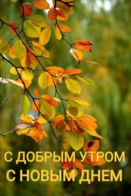 Картинки "Доброе утро сентября". Картинки с добрым утром сентября 