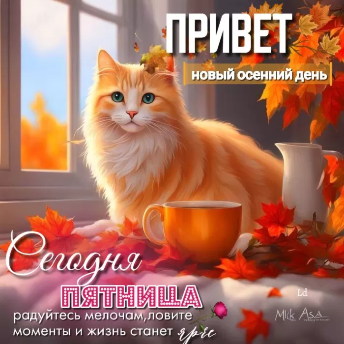 Прикольные картинки с Пятницей. Картинки с Пятницей и Ура пятница