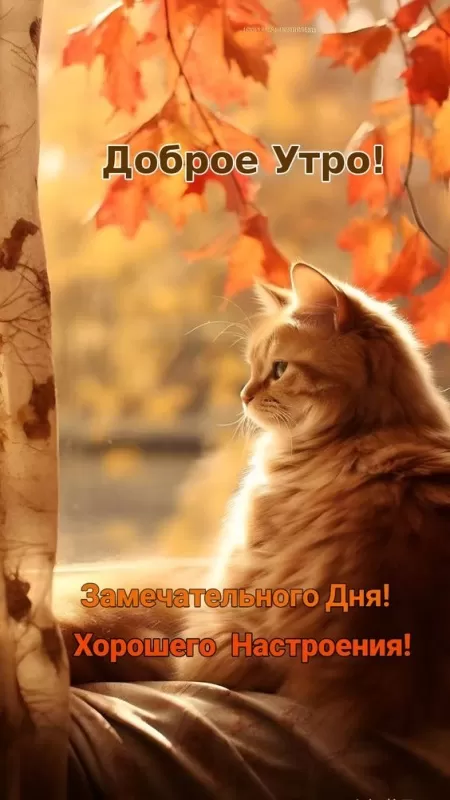 Картинки Хорошего осеннего дня. Доброго утра и хорошего дня - картинки осенние