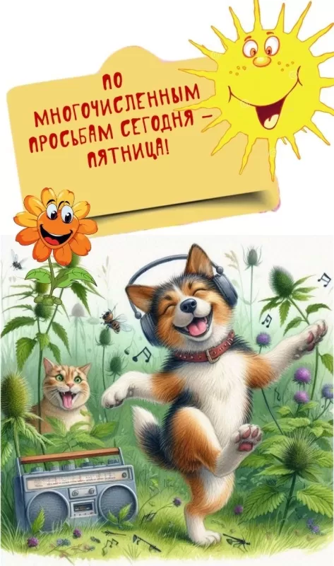 Прикольные картинки с Пятницей. Прикольные картинки с Пятницей