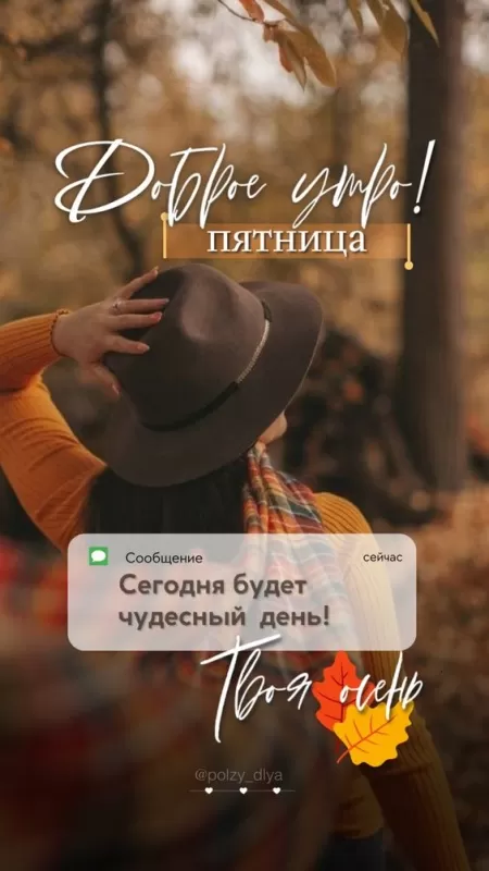 Прикольные картинки с Пятницей. Прикольные картинки Доброе утро пятницы