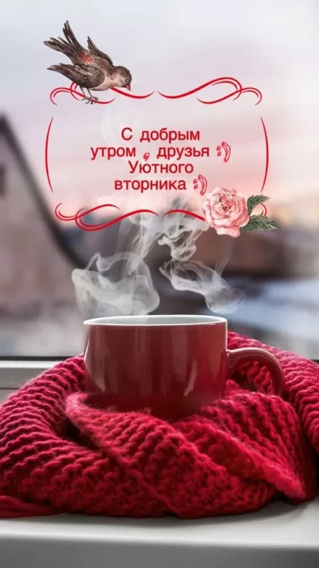 Картинки Доброе утро вторника. Красивые картинки Доброе утро вторника