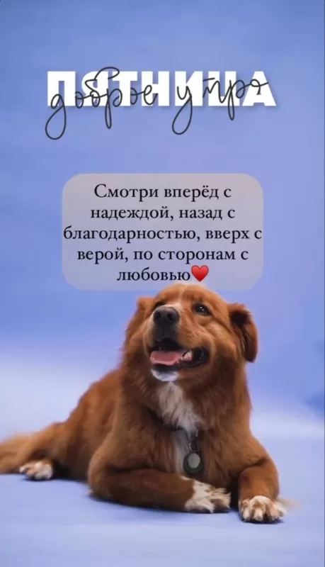 Прикольные картинки с Пятницей. Прикольные картинки Доброе утро пятницы