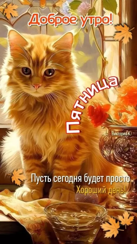 Прикольные картинки с Пятницей. Прикольные картинки Доброе утро пятницы