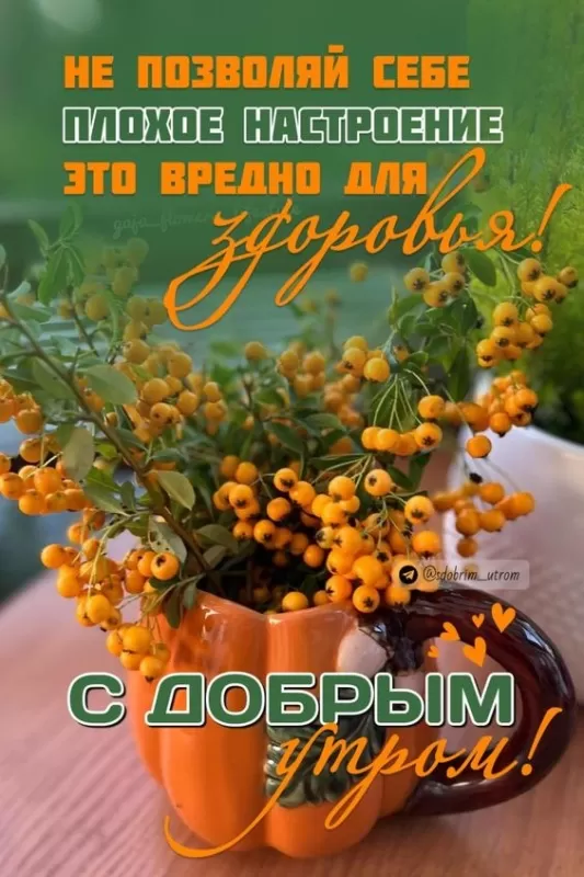 Картинки "Доброе утро сентября". Доброе утро сентября - картинки с пожеланиями