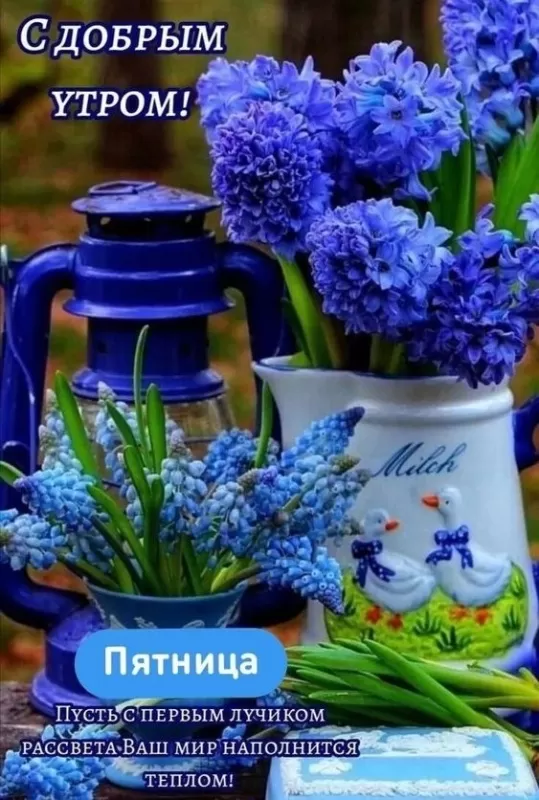 Прикольные картинки с Пятницей. Прикольные картинки Доброе утро пятницы