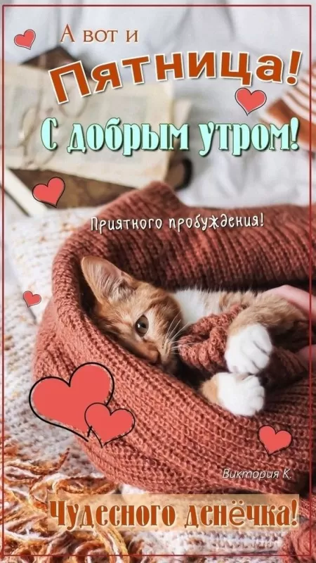 Прикольные картинки с Пятницей. Прикольные картинки Доброе утро пятницы