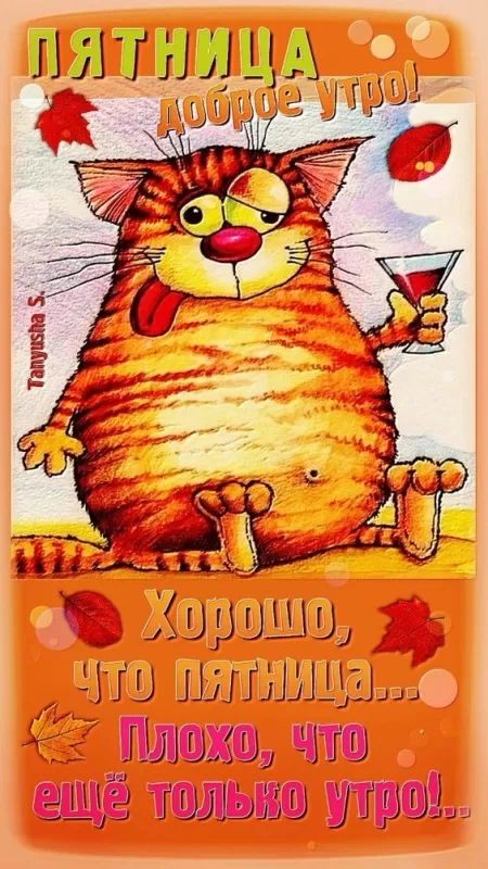 Прикольные картинки с Пятницей. Прикольные картинки с Пятницей