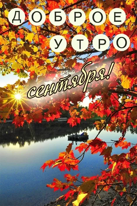 Картинки "Доброе утро сентября". Картинки с добрым утром сентября 