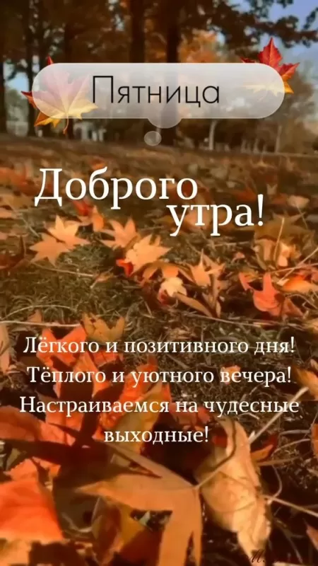 Прикольные картинки с Пятницей. Прикольные картинки Доброе утро пятницы