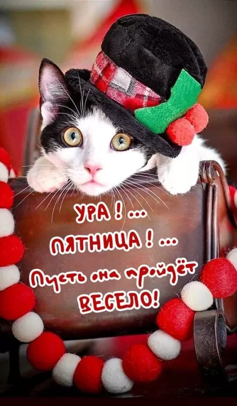 Прикольные картинки с Пятницей. Картинки с Пятницей и Ура пятница
