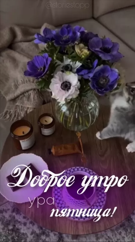 Картинки "Доброе утро пятницы" красивые и прикольные. Красивые картинки "Доброго утра пятницы" 