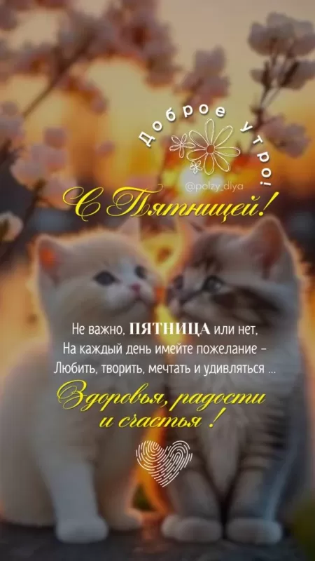 Картинки "Доброе утро пятницы" красивые и прикольные. Красивые картинки "Доброго утра пятницы" 