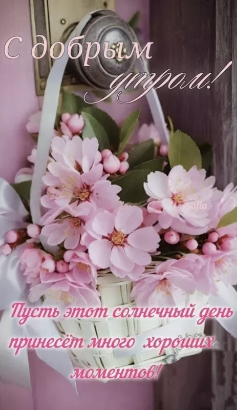 Позитивные картинки Доброе утро. Доброе утро - позитивные картинки с пожеланиями