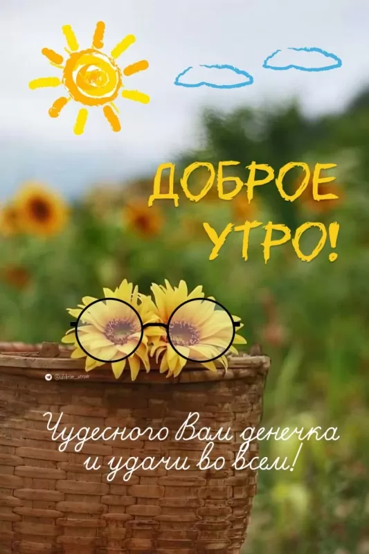 Позитивные картинки Доброе утро. Доброе утро - позитивные картинки с пожеланиями