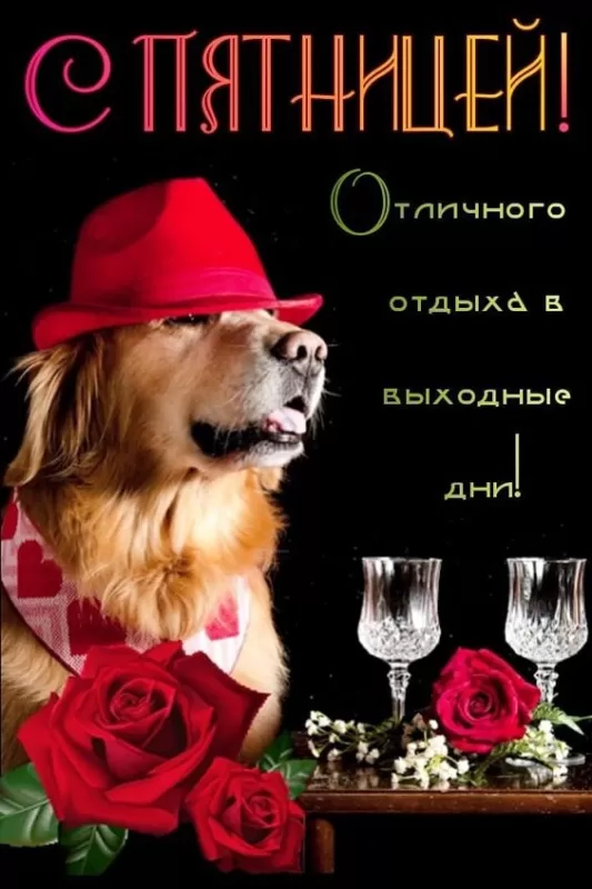 Прикольные картинки с Пятницей. Картинки с Пятницей и Ура пятница