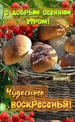 Картинки Доброе утро воскресенья. Красивые картинки Доброе утро воскресенье 