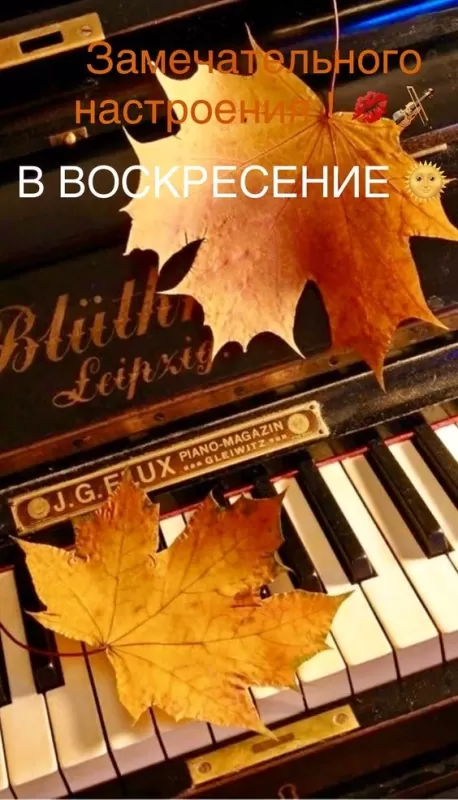 Картинки Доброе утро воскресенья. Красивые картинки Доброе утро воскресенье 