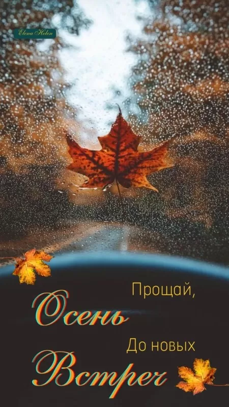 Картинки с последним днем осени. Картинки " С последним днем осени" 2024