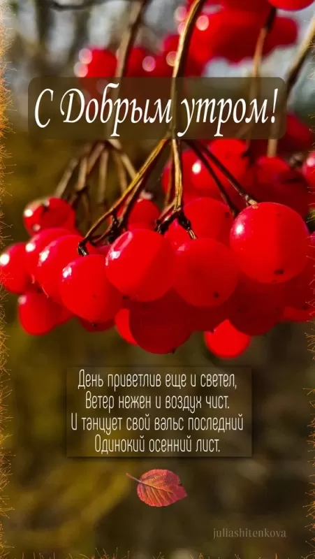 Красивые картинки Доброе утро ноября. Красивые картинки с Добрым утром ноября