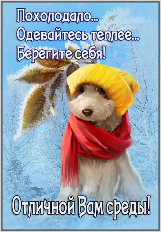 Картинки "Доброе утро среды" . Доброе утро среды - картинки зимние