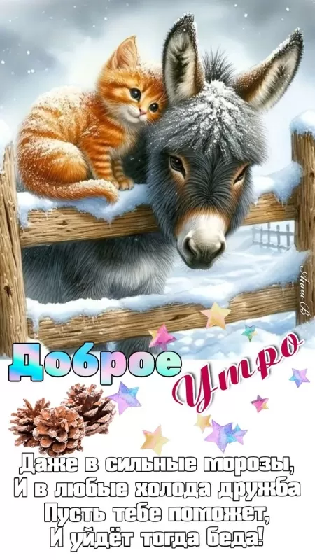 Картинки и открытки "Доброго зимнего утра". С Добрым зимним утром - картинки позитивные