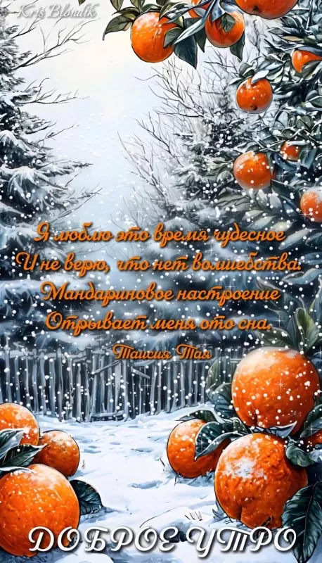 Картинки и открытки "Доброго зимнего утра". Лучшие картинки с Добрым зимним утром