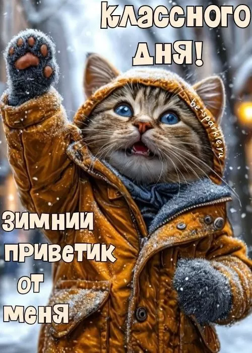 Зимние картинки Доброго утра и хорошего дня. Красивые Зимние картинки Хорошего дня 