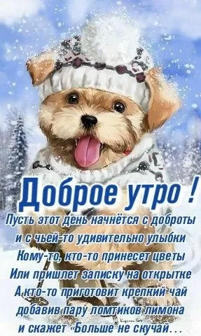 Картинки Доброе утро января. Январские картинки Доброе утро
