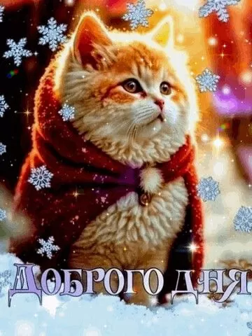 Картинки Доброе утро января. Январские картинки Доброе утро