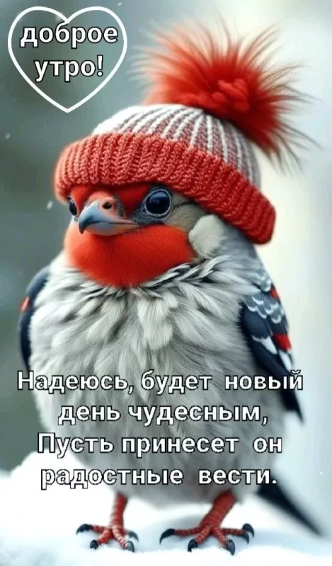Картинки Доброе утро января. Красивые картинки Доброе утро января