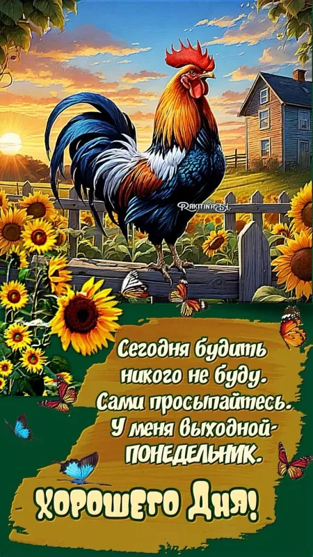 Красивые картинки Хорошего и Доброго Дня. Красивые картинки Доброго утра и хорошего дня
