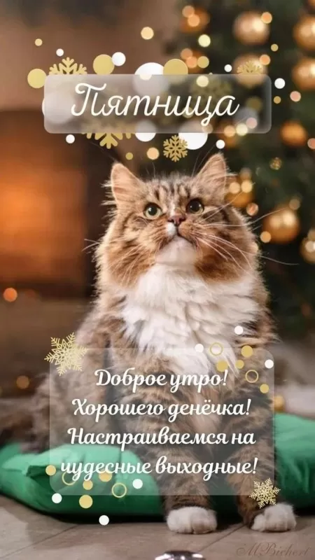 Картинки Доброе утро пятницы. Доброе утро пятницы - картинки новые и красивые