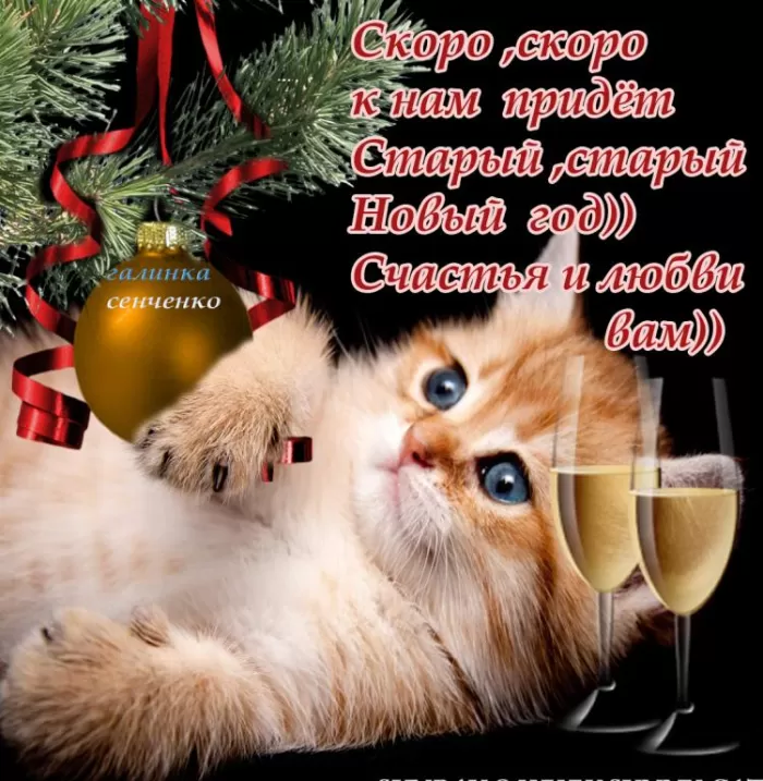 Картинки со Старым Новым годом. Прикольные картинки со Старым Новым годом
