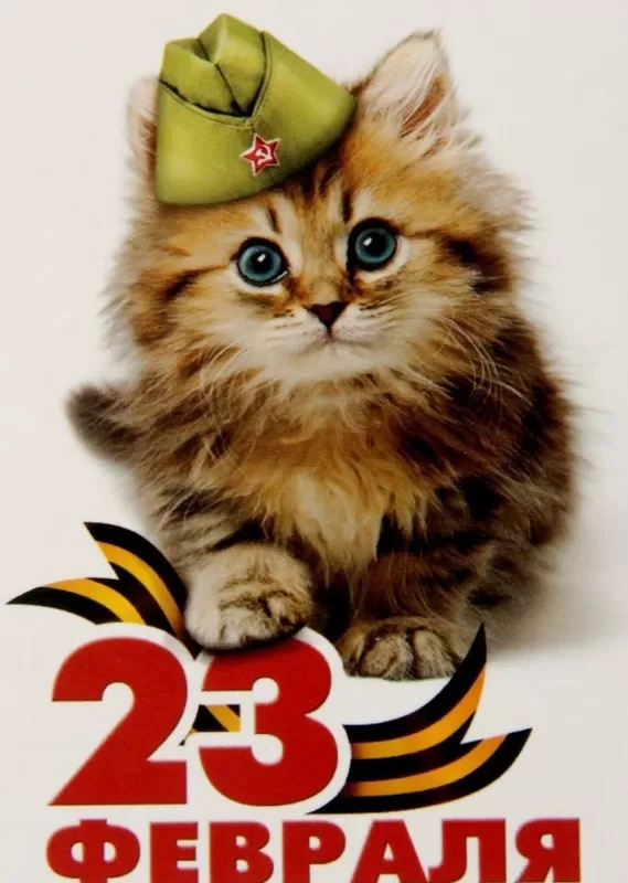 Красивые открытки с 23 февраля . С 23 февраля - открытки с поздравлениями