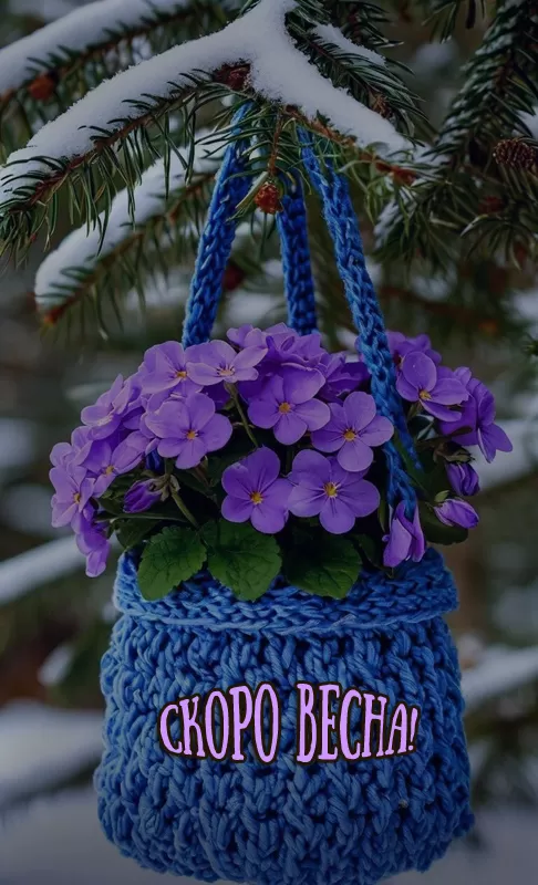 Картинки "Скоро весна" (80 штук)