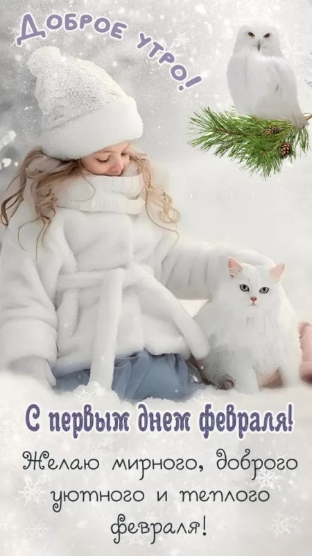 Красивые картинки с 1 февраля. Красивые картинки с 1 февраля