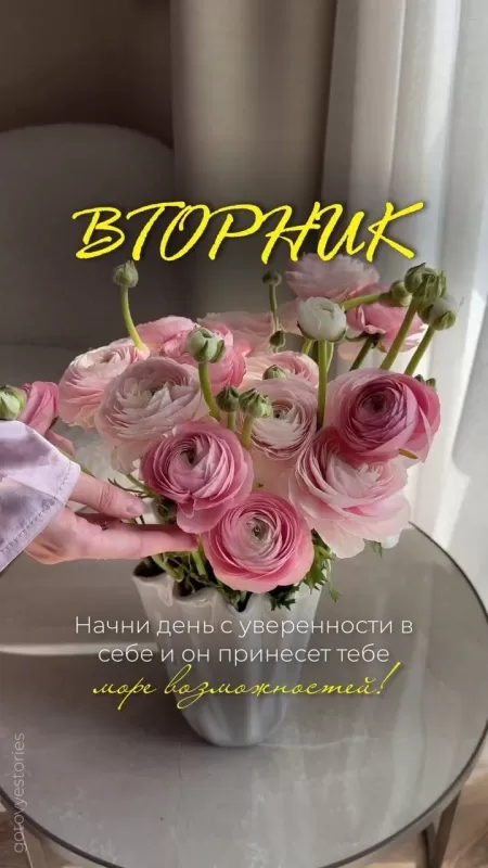 Картинки Доброе утро вторника. Красивые картинки Доброе утро вторника