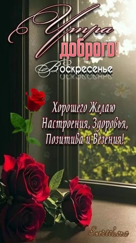 Картинки с Добрым утром воскресенья. Красивые картинки с Добрым утром воскресенья